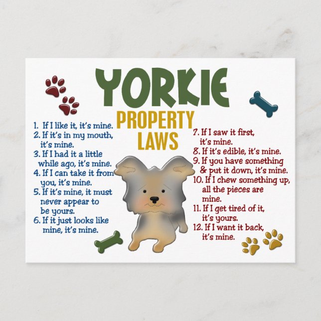 Cartão Postal Leis de Propriedade Yorkie 4 (Frente)