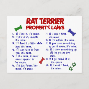 Cartão Postal Leis de Propriedades do TERRIER RAT 2