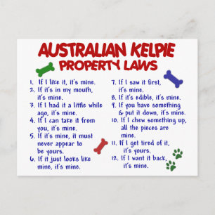 Cartão Postal Leis imobiliárias AUSTRALIAN KELPIE 2