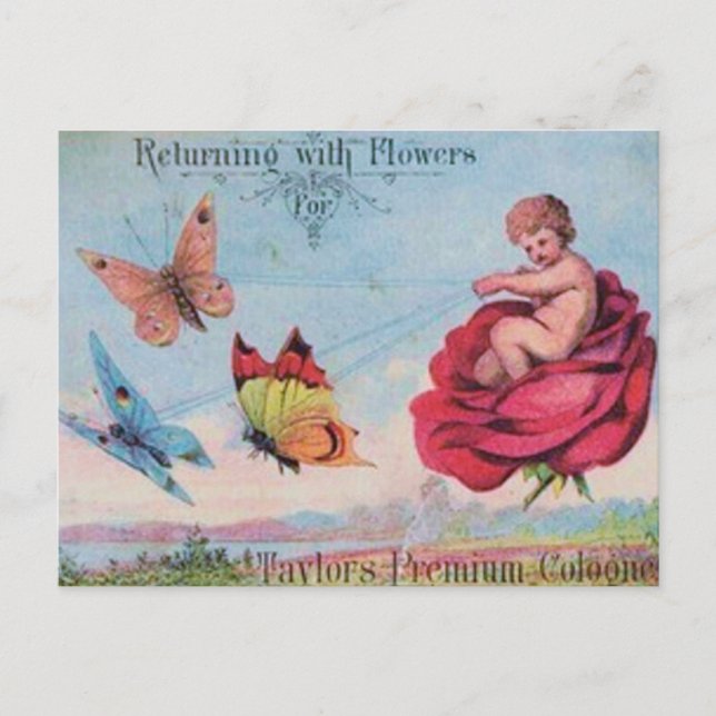 Cartão Postal Leite e Borboletas Colônia Ad (Frente)