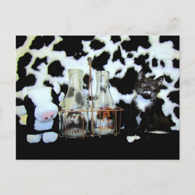 Cartão Postal Leite, Por Favor... Starring Davina (Frente)