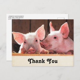 Cartão Postal Leitões cor-de-rosa, Fotografia animal Obrigado