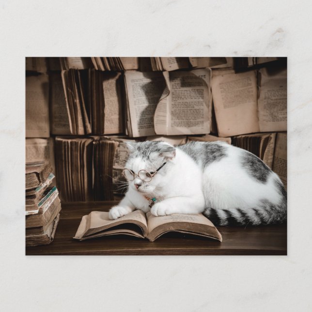 Cartão Postal Leitura de Gato em Óculos Pós-Cruzamento (Frente)