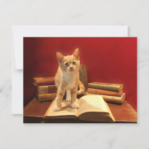 Cartão Postal Leitura de Gato Permanecendo em livros Pós-cruzame