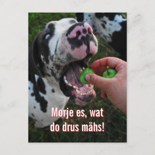 Cartão Postal Lema de Motivação do Grande Dinamarquês
