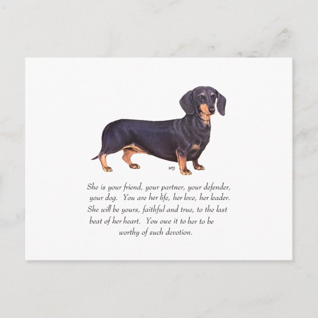 Cartão Postal Lembrança de Dachshund - Fêmea (Frente)