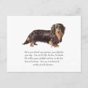 Cartão Postal Lembrança de Dachshund - Macho