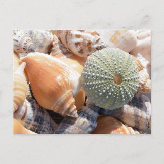 Cartão Postal Lembranças da Praia