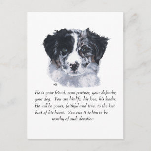 Cartão Postal Lembranças de Border Collie