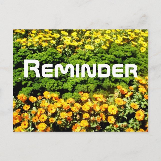 Cartão Postal Lembrete (Frente)