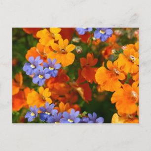 Cartão Postal Lembrete da Primavera