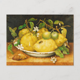 CARTÃO POSTAL LEMÕES FRUTAS DA SEASON E FLORES BRANCOS
