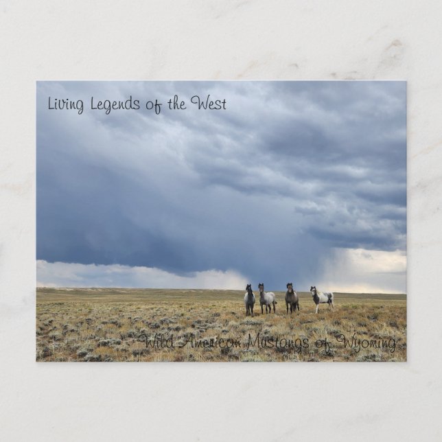 Cartão Postal Lenda viva do Ocidente - Cartão-postal (Frente)