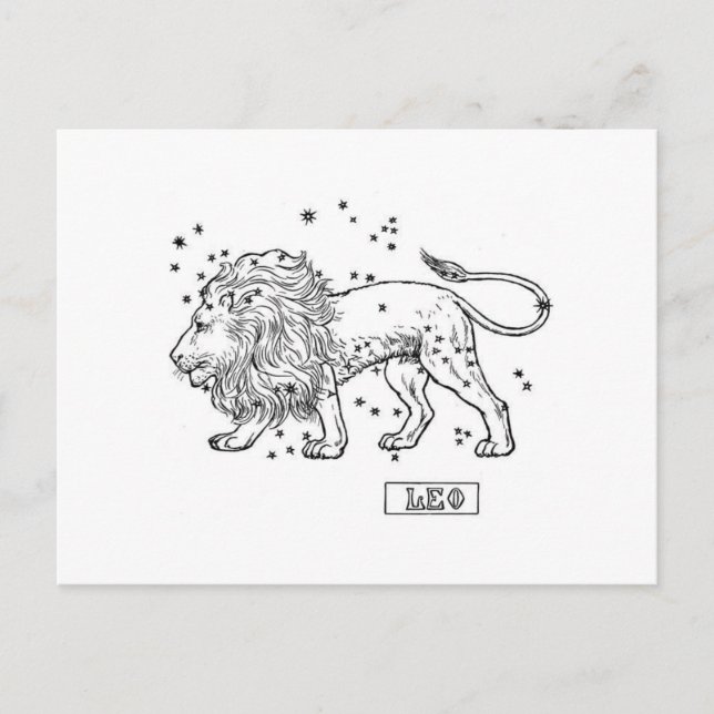 Cartão Postal Leo (Frente)
