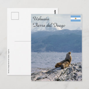 Cartão Postal Leões-marinhos no canal de Beagle - Argentina