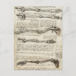 Cartão Postal Leonardo da Vinci - Estudos do Trabalho de arte de