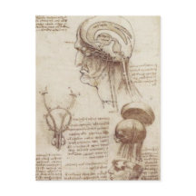 Leonardo da Vinci - Fisiologia Cerebral