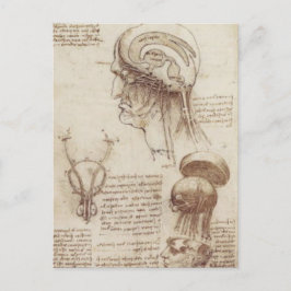 Cartão Postal Leonardo da Vinci - Fisiologia Cerebral