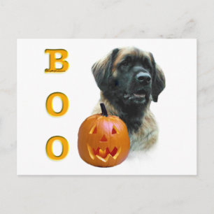 Cartão Postal Leonberger Boo