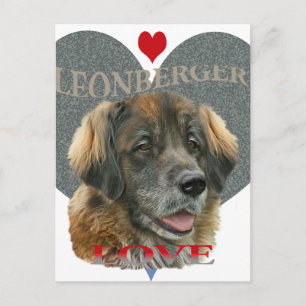 Cartão Postal Leonberger Love Gift Ideas