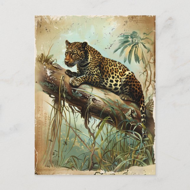 Cartão Postal Leopard Vintage (Frente)