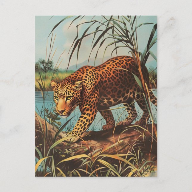 Cartão Postal Leopard Vintage (Frente)
