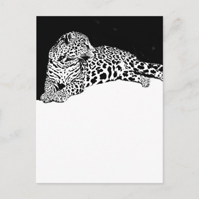 Cartão Postal Leopardo (Frente)