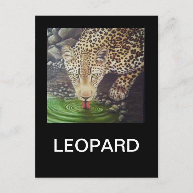 Cartão Postal Leopardo Africano (Frente)