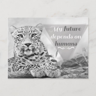 Cartão Postal Leopardo ameaçado protege a vida selvagem Cartão-p
