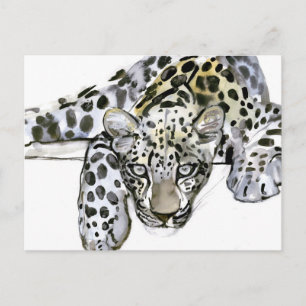 Cartão Postal Leopardo Árabe 2008 6