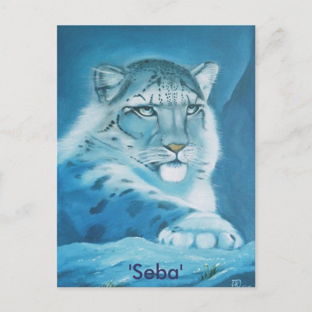 Cartão Postal leopardo-da-neve, "Seba" (Frente)