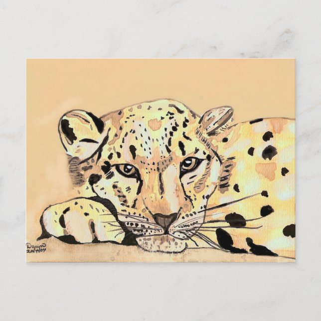 Cartão Postal leopardo-das-neves (Frente)