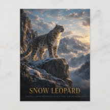 Leopardo-das-neves Planalto Alpino ANIMAIS