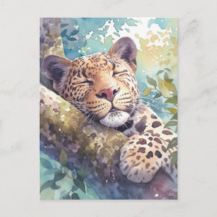 Cartão Postal Leopardo Descansando em Galho de Árvore em Florest