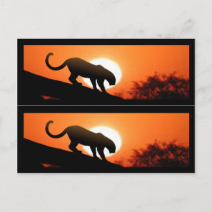 Cartão Postal Leopardo em marcadores de árvores