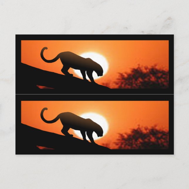 Cartão Postal Leopardo em marcadores de árvores (Frente)