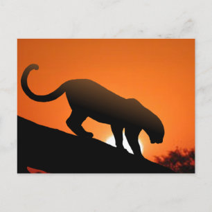 Cartão Postal Leopardo na árvore