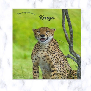 Cartão Postal Leopardo na Quênia