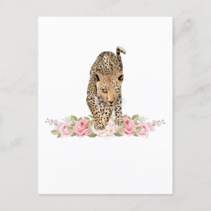 Cartão Postal Leopardo, Rosa de Leopardo, Flor-Leopardo