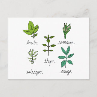 Cartão Postal Les herbes