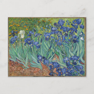 Cartão Postal Les Iris Irises Vincent Van Gogh