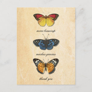 Cartão Postal Les Papillons Obrigado Cartão-Postal