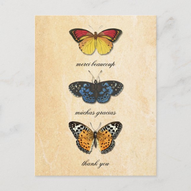 Cartão Postal Les Papillons Obrigado Cartão-Postal (Frente)