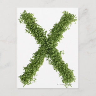 Cartão Postal Letra 'X' em agrião sobre fundo branco,