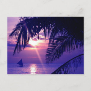 Cartão Postal Leva-Me...