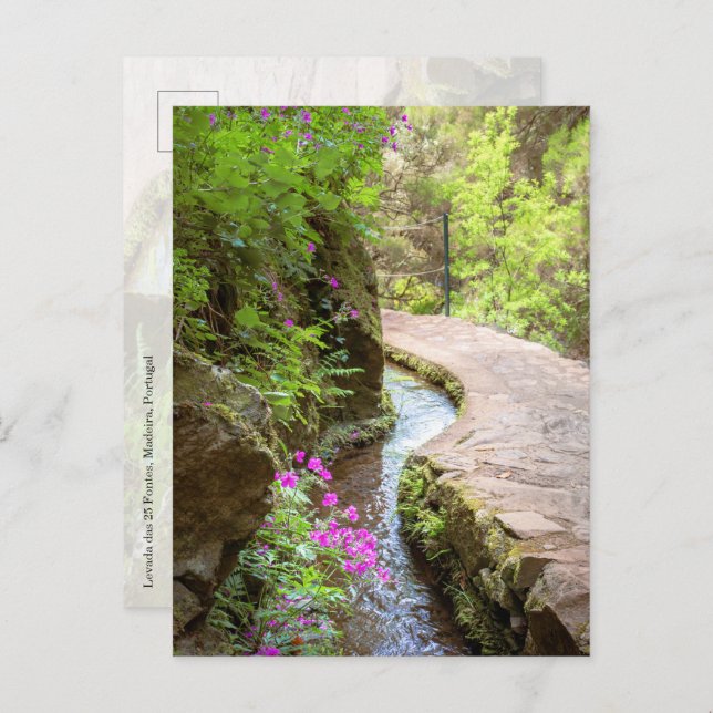 Cartão Postal Levada das 25 Fontes Madeira Postcard (Frente/Verso)