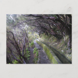 Cartão Postal Levadas na Madeira, Portugal