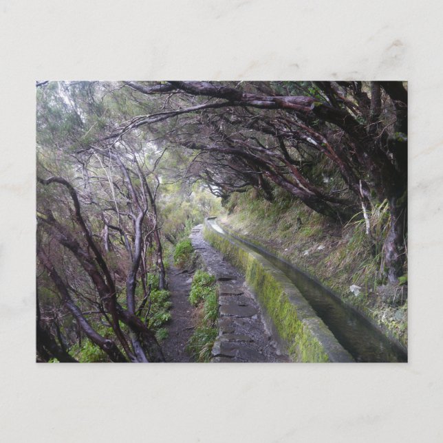 Cartão Postal Levadas na Madeira, Portugal (Frente)