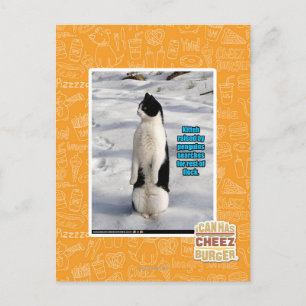 Cartão Postal Levantados por Pinguins