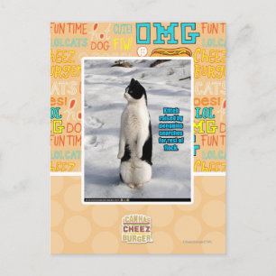 Cartão Postal Levantados por Pinguins